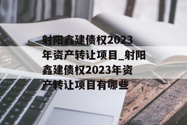 射阳鑫建债权2023年资产转让项目_射阳鑫建债权2023年资产转让项目有哪些