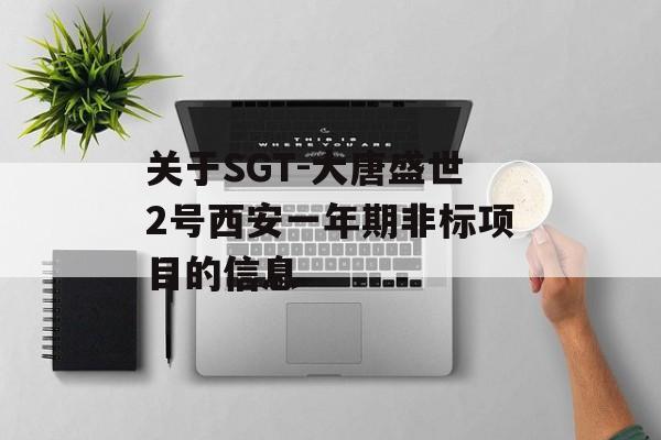 关于SGT-大唐盛世2号西安一年期非标项目的信息