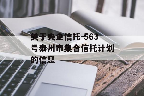 关于央企信托-563号泰州市集合信托计划的信息