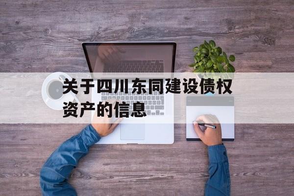 关于四川东同建设债权资产的信息