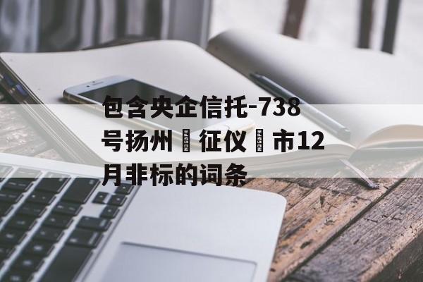 包含央企信托-738号扬州‮征仪‬市12月非标的词条