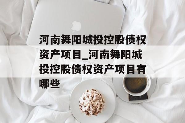 河南舞阳城投控股债权资产项目_河南舞阳城投控股债权资产项目有哪些