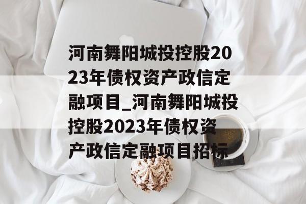 河南舞阳城投控股2023年债权资产政信定融项目_河南舞阳城投控股2023年债权资产政信定融项目招标