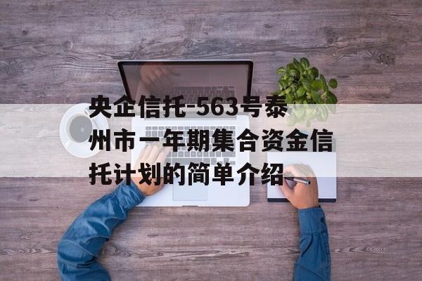 央企信托-563号泰州市一年期集合资金信托计划的简单介绍