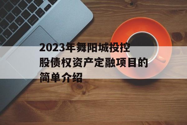 2023年舞阳城投控股债权资产定融项目的简单介绍