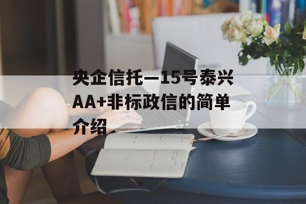 央企信托—15号泰兴AA+非标政信的简单介绍