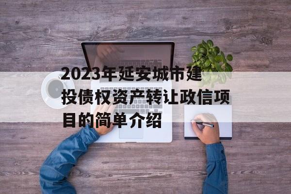 2023年延安城市建投债权资产转让政信项目的简单介绍