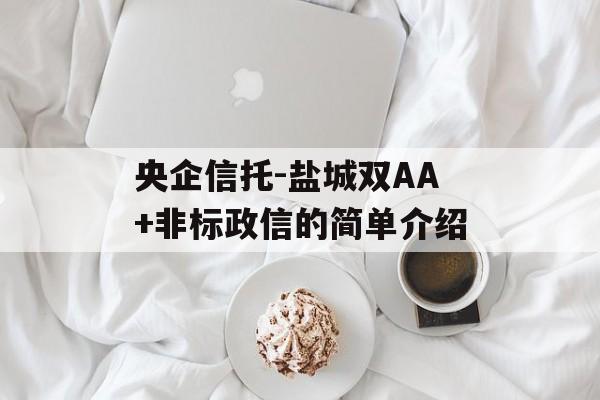 央企信托-盐城双AA+非标政信的简单介绍