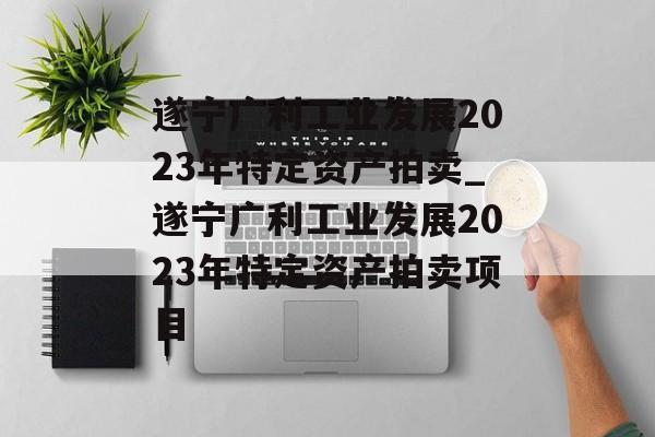 遂宁广利工业发展2023年特定资产拍卖_遂宁广利工业发展2023年特定资产拍卖项目