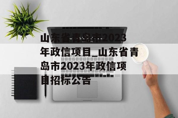 山东省青岛市2023年政信项目_山东省青岛市2023年政信项目招标公告