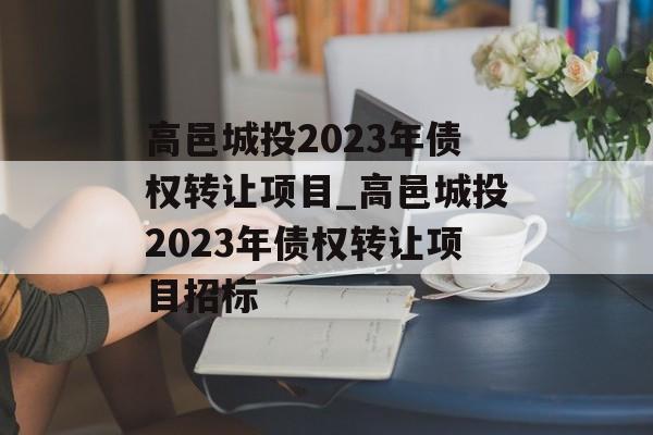 高邑城投2023年债权转让项目_高邑城投2023年债权转让项目招标