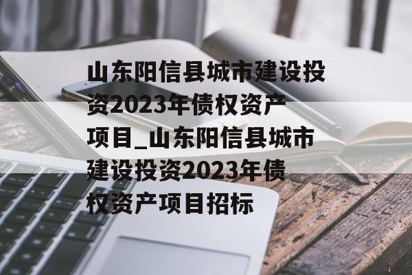 山东阳信县城市建设投资2023年债权资产项目_山东阳信县城市建设投资2023年债权资产项目招标