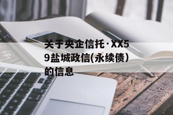 关于央企信托·XX59盐城政信(永续债）的信息