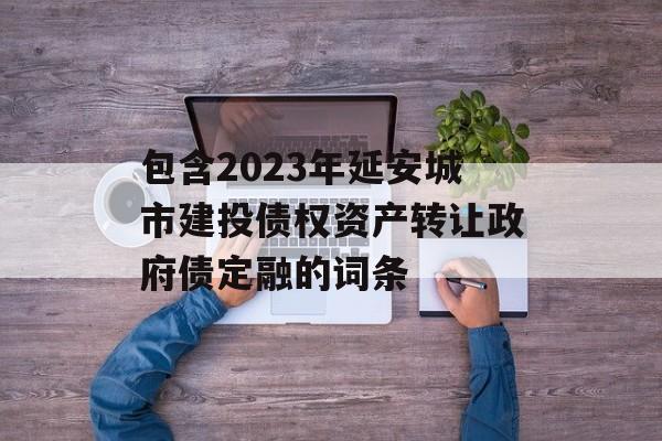 包含2023年延安城市建投债权资产转让政府债定融的词条