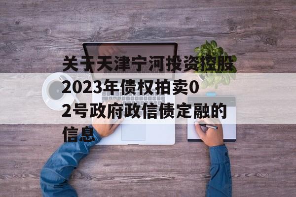 关于天津宁河投资控股2023年债权拍卖02号政府政信债定融的信息