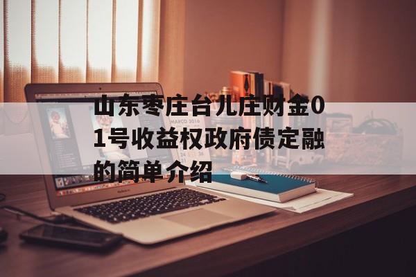 山东枣庄台儿庄财金01号收益权政府债定融的简单介绍