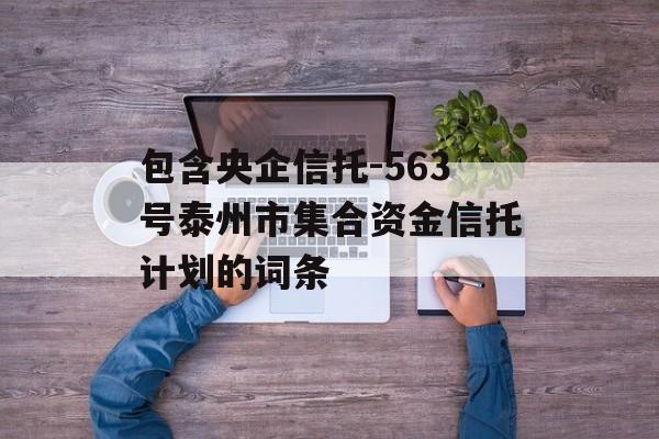 包含央企信托-563号泰州市集合资金信托计划的词条