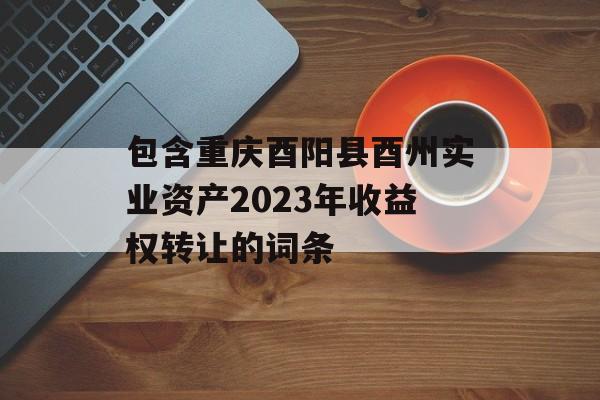 包含重庆酉阳县酉州实业资产2023年收益权转让的词条