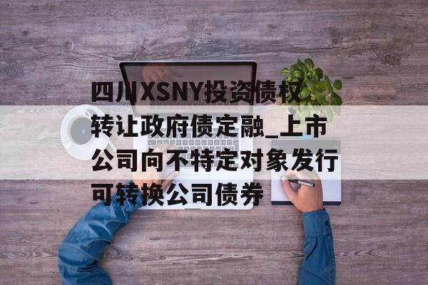 四川XSNY投资债权转让政府债定融_上市公司向不特定对象发行可转换公司债券