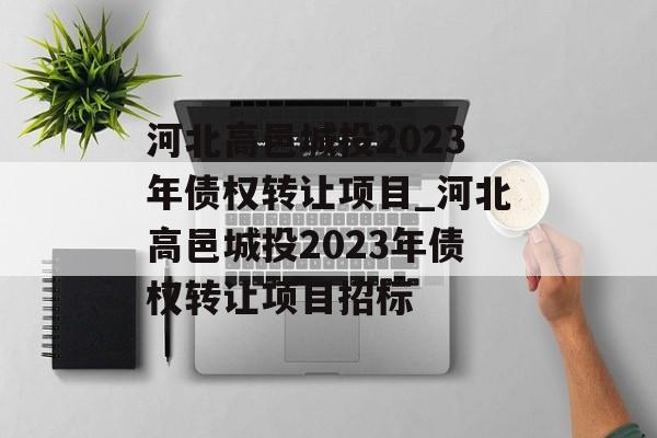 河北高邑城投2023年债权转让项目_河北高邑城投2023年债权转让项目招标