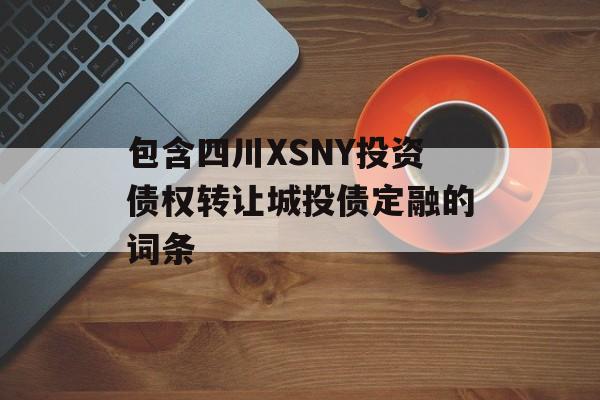 包含四川XSNY投资债权转让城投债定融的词条