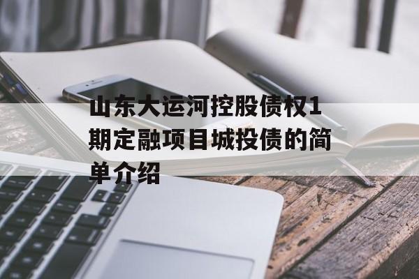 山东大运河控股债权1期定融项目城投债的简单介绍