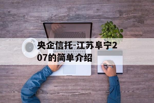 央企信托-江苏阜宁207的简单介绍