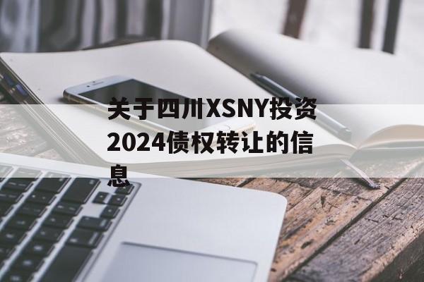 关于四川XSNY投资2024债权转让的信息