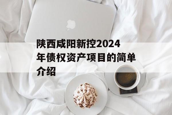 陕西咸阳新控2024年债权资产项目的简单介绍