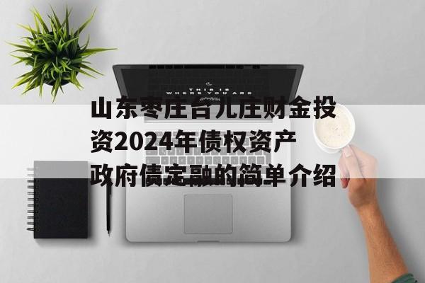 山东枣庄台儿庄财金投资2024年债权资产政府债定融的简单介绍