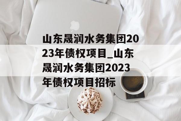 山东晟润水务集团2023年债权项目_山东晟润水务集团2023年债权项目招标