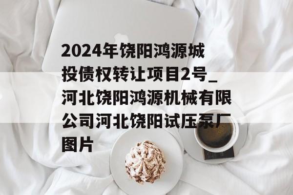 2024年饶阳鸿源城投债权转让项目2号_河北饶阳鸿源机械有限公司河北饶阳试压泵厂图片