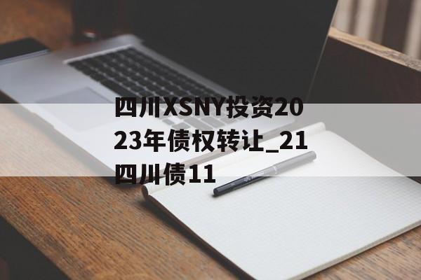 四川XSNY投资2023年债权转让_21四川债11