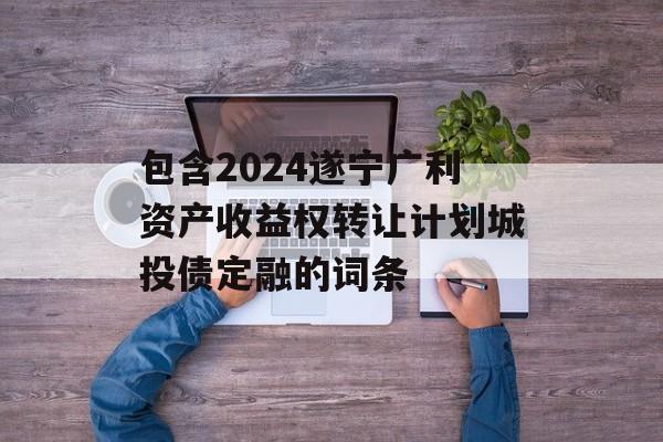 包含2024遂宁广利资产收益权转让计划城投债定融的词条