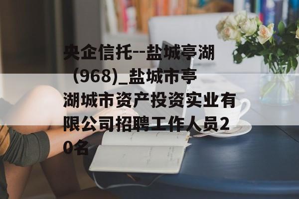 央企信托--盐城亭湖（968)_盐城市亭湖城市资产投资实业有限公司招聘工作人员20名