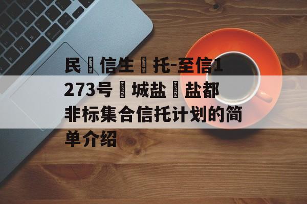 民‮信生‬托-至信1273号‮城盐‬盐都非标集合信托计划的简单介绍