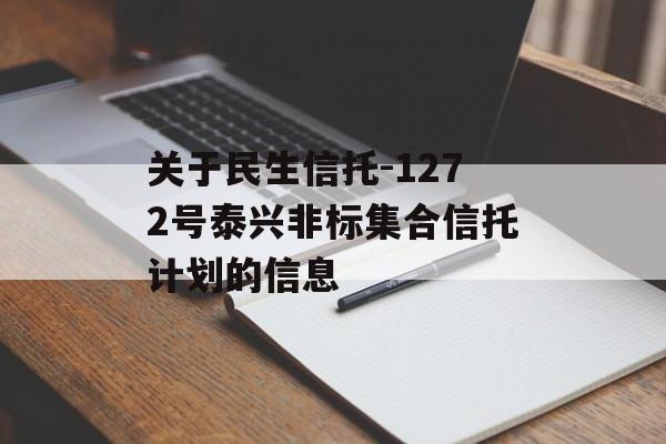 关于民生信托-1272号泰兴非标集合信托计划的信息