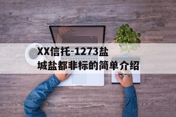 XX信托-1273盐城盐都非标的简单介绍