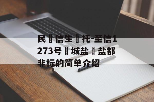 民‮信生‬托-至信1273号‮城盐‬盐都非标的简单介绍