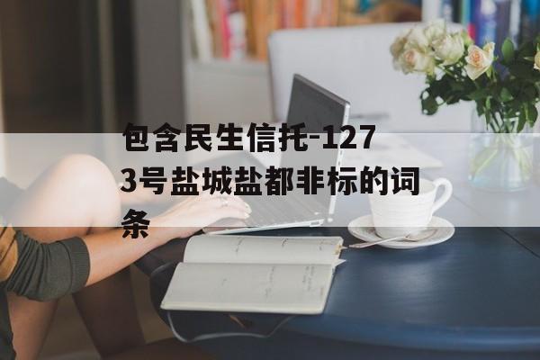 包含民生信托-1273号盐城盐都非标的词条