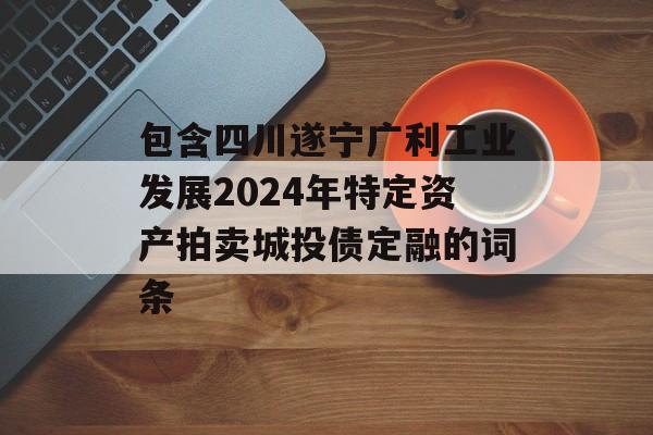 包含四川遂宁广利工业发展2024年特定资产拍卖城投债定融的词条