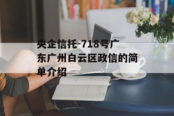 央企信托-718号广东广州白云区政信的简单介绍