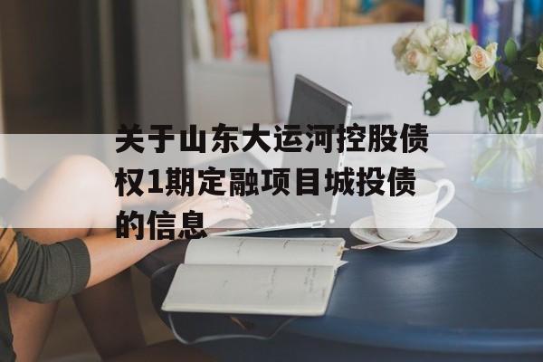 关于山东大运河控股债权1期定融项目城投债的信息