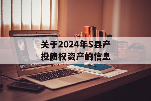 关于2024年S县产投债权资产的信息