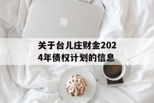 关于台儿庄财金2024年债权计划的信息