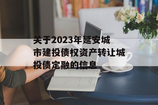 关于2023年延安城市建投债权资产转让城投债定融的信息