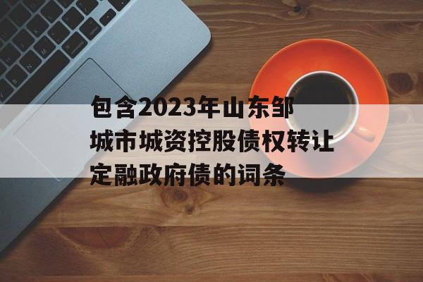 包含2023年山东邹城市城资控股债权转让定融政府债的词条