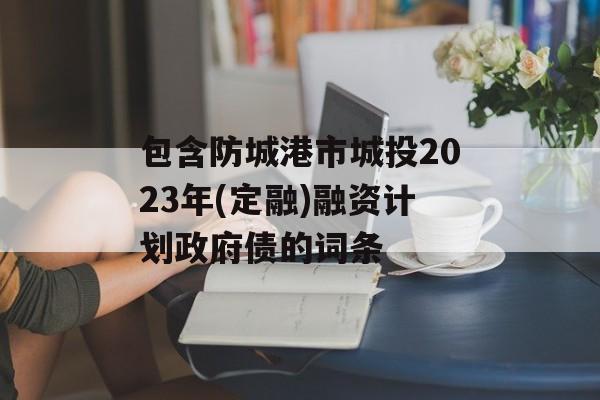 包含防城港市城投2023年(定融)融资计划政府债的词条