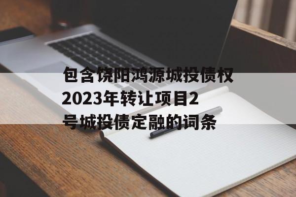 包含饶阳鸿源城投债权2023年转让项目2号城投债定融的词条