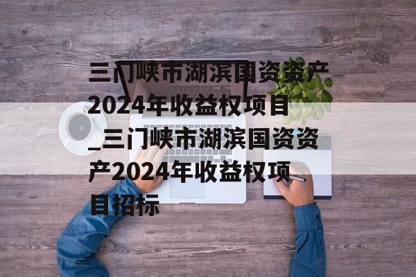 三门峡市湖滨国资资产2024年收益权项目_三门峡市湖滨国资资产2024年收益权项目招标